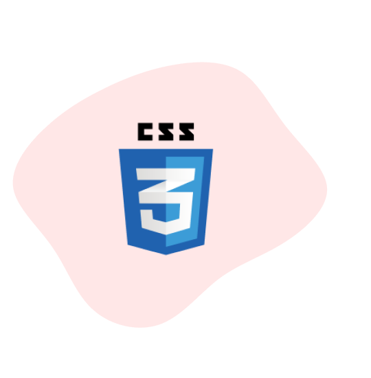 Image of skill CSS